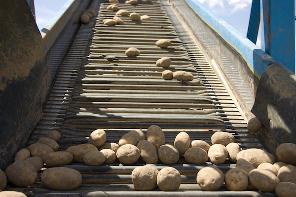 Transportwalzen_Lebensmittel_Industrie_Kartoffelschael_Walzen_kundenspezisfisch_beschichtet_PU_Belag_nach_Zeichnung